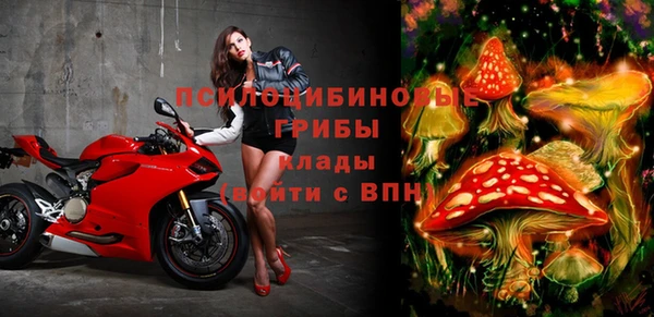 стафф Бабаево